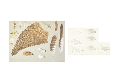 Lot 313 - Valentine Stewart 'Pat' PATON (1925-2012)