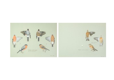 Lot 312 - Valentine Stewart 'Pat' PATON (1925-2012)