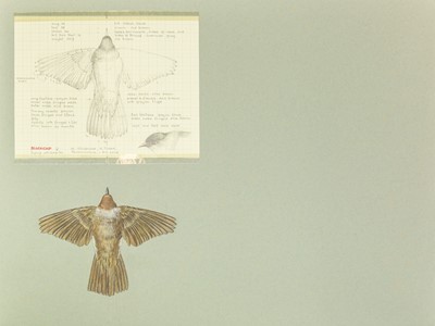 Lot 307 - Valentine Stewart 'Pat' PATON (1925-2012)