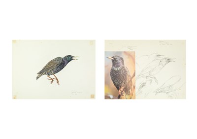 Lot 304 - Valentine Stewart 'Pat' PATON (1925-2012)