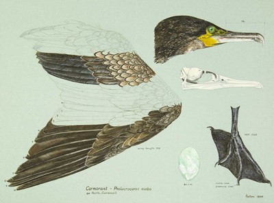 Lot 302 - Valentine Stewart 'Pat' PATON (1925-2012)