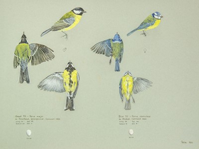 Lot 351 - Valentine Stewart 'Pat' PATON (1925-2012)