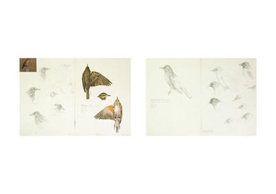 Lot 328 - Valentine Stewart 'Pat' PATON (1925-2012)