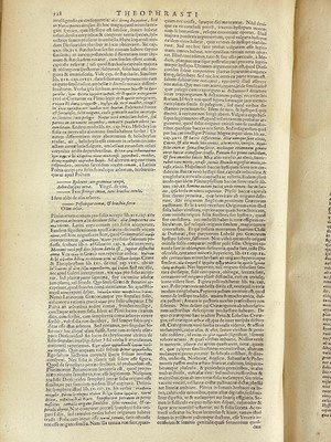 Lot 18 - THEOPHRASTUS. (ca 371-ca 287 B.C.)