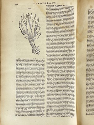 Lot 18 - THEOPHRASTUS. (ca 371-ca 287 B.C.)