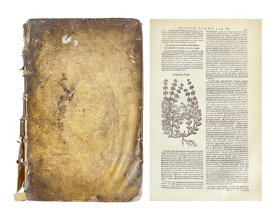 Lot THEOPHRASTUS. (ca 371-ca 287 B.C.)