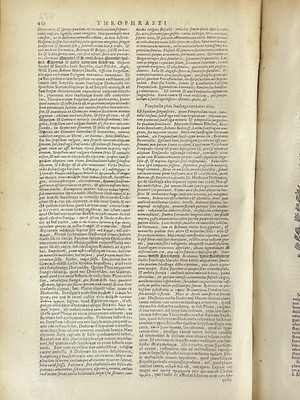Lot 18 - THEOPHRASTUS. (ca 371-ca 287 B.C.)