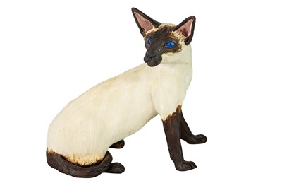 Lot 516 - Lynn DAVEY (XX-XXI) Siamese Cat.
