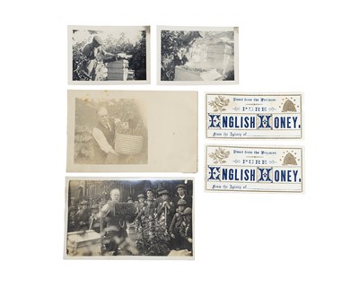Lot 51 - (Apiculture)