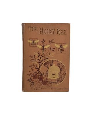 Lot 51 - (Apiculture)