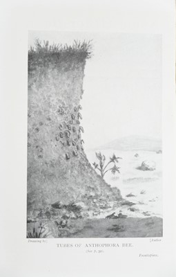 Lot 51 - (Apiculture)