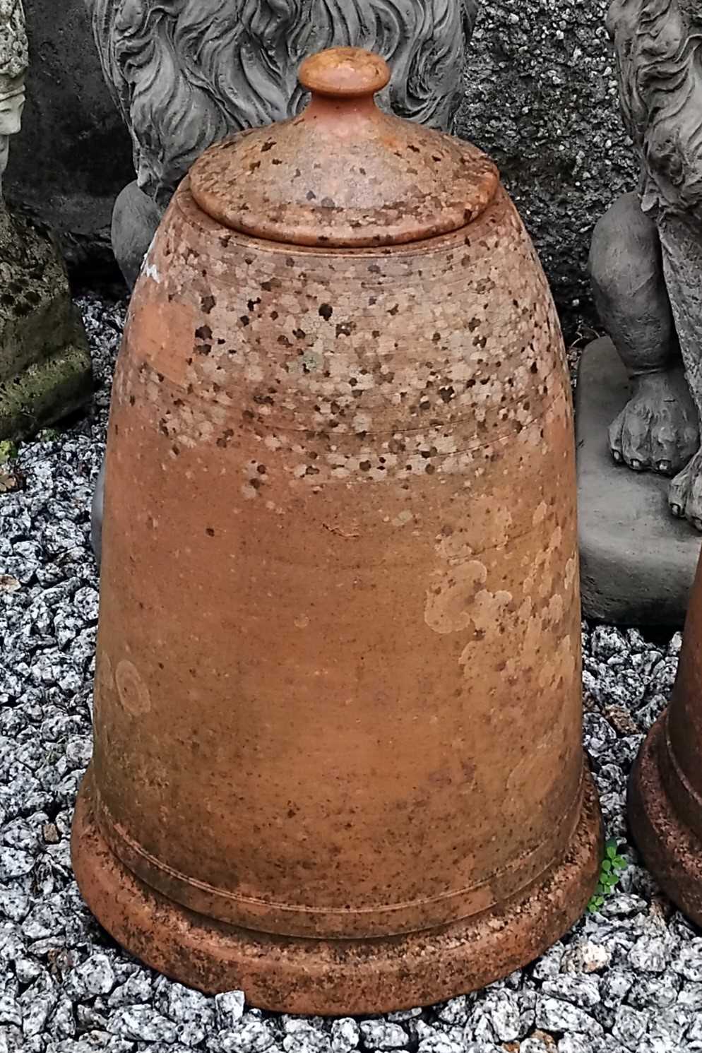 Lot 25 - A terracotta rhubarb forcer with lid.