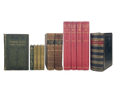 Lot 145 - (Natural History and Ornithology)