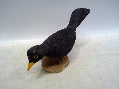 Lot 69 - A Roy Hewson Carved Male Blackbird. The piece...