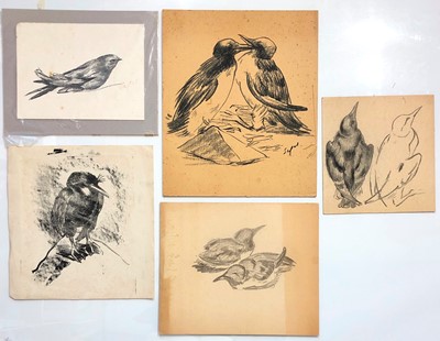 Lot 309 - Hyman SEGAL (1914 - 2004) 5 bird studies...