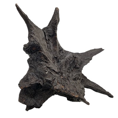 Lot 3 - A piece of Bog Oak, believed to be over a 1000...