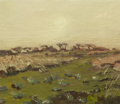 Lot 15 - Virginia BOUNDS (1965)