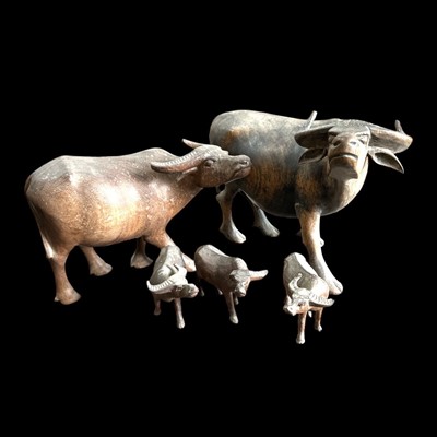 Lot 63 - Five carved water buffalo, the largest being...