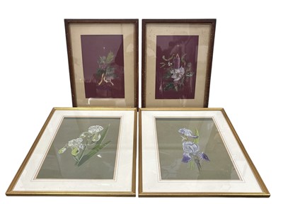 Lot 159 - Liz Samwells, four signed pastels, two are...