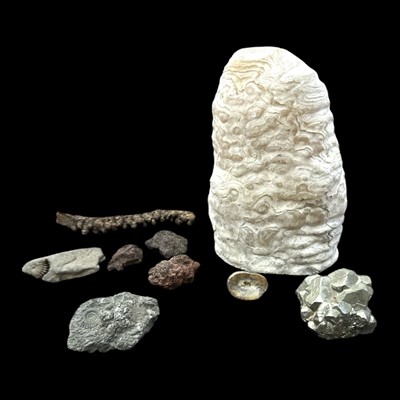 Lot 51 - A selection of fossils and minerals, including...