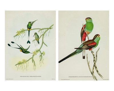 Lot 180 - Henry Constantine RICHTER and John Gould