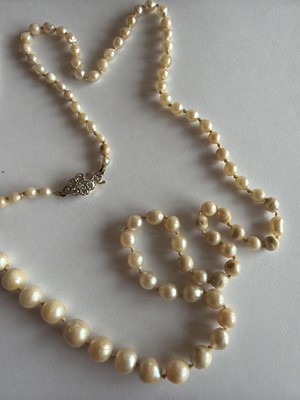 Lot 192 - A natural saltwater and cultured graduated pearl necklace, strung to a diamond clasp.