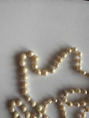 Lot 192 - A natural saltwater and cultured graduated pearl necklace, strung to a diamond clasp.