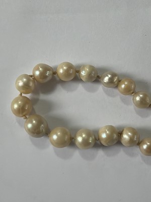 Lot 192 - A natural saltwater and cultured graduated pearl necklace, strung to a diamond clasp.
