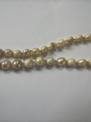 Lot 192 - A natural saltwater and cultured graduated pearl necklace, strung to a diamond clasp.