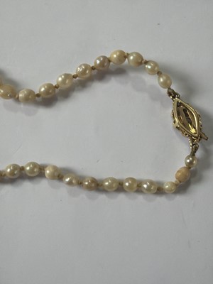 Lot 192 - A natural saltwater and cultured graduated pearl necklace, strung to a diamond clasp.