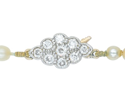 Lot 192 - A natural saltwater and cultured graduated pearl necklace, strung to a diamond clasp.