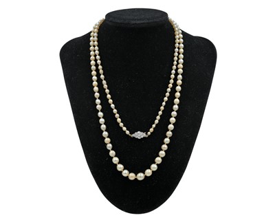Lot 192 - A natural saltwater and cultured graduated pearl necklace, strung to a diamond clasp.