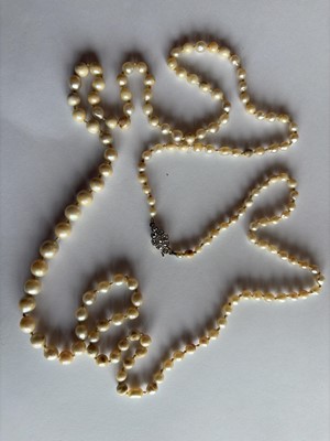 Lot 192 - A natural saltwater and cultured graduated pearl necklace, strung to a diamond clasp.
