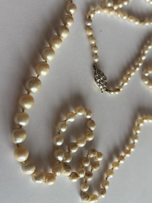 Lot 192 - A natural saltwater and cultured graduated pearl necklace, strung to a diamond clasp.