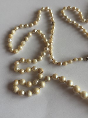 Lot 192 - A natural saltwater and cultured graduated pearl necklace, strung to a diamond clasp.