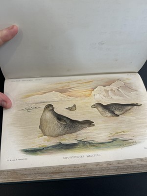 Lot 2 - (Antarctic and Natural History)