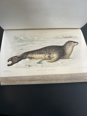 Lot 2 - (Antarctic and Natural History)