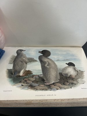 Lot 2 - (Antarctic and Natural History)