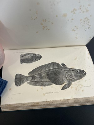 Lot 2 - (Antarctic and Natural History)