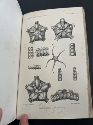 Lot 2 - (Antarctic and Natural History)