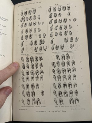 Lot 2 - (Antarctic and Natural History)