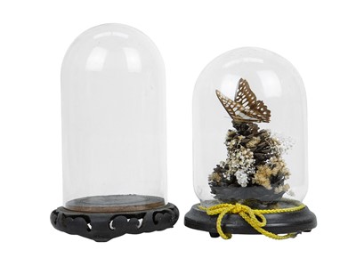 Lot 36 - Two small glass domes.