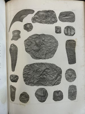 Lot 3 - (Geology) David Dale Owen