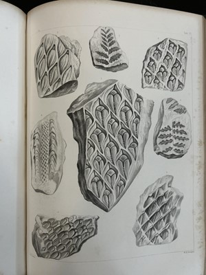 Lot 3 - (Geology) David Dale Owen