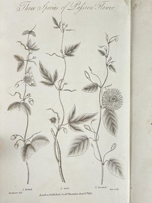 Lot 95 - (Botany and Natural History)