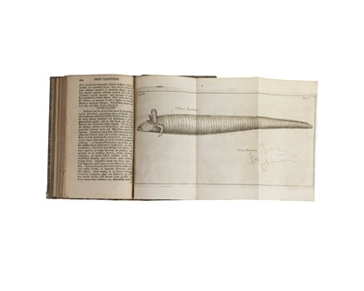 Lot 5 - (Carl Linnaeus) Caroli Linnaei or Caroli a Linne