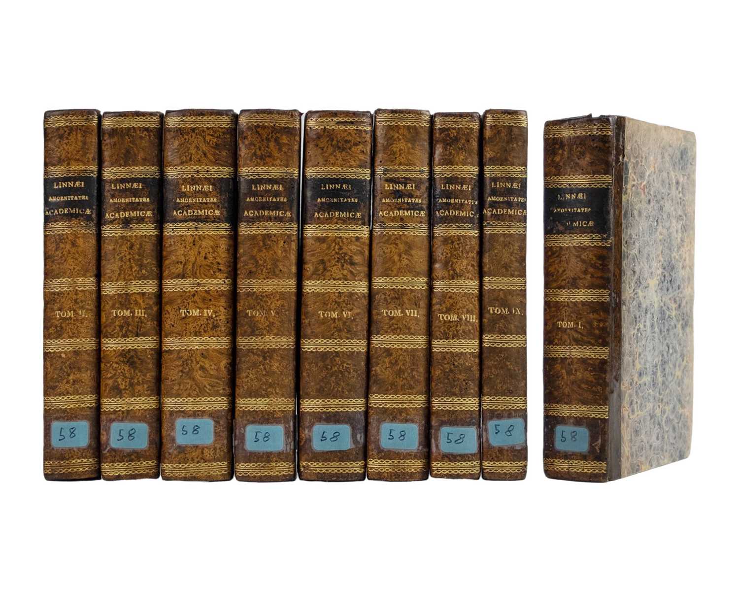 Lot 5 - (Carl Linnaeus) Caroli Linnaei or Caroli a Linne