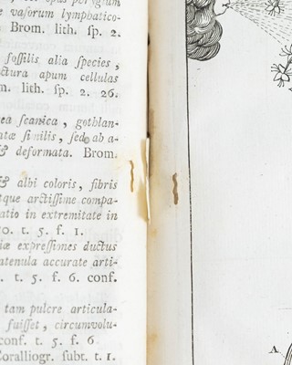 Lot 5 - (Carl Linnaeus) Caroli Linnaei or Caroli a Linne