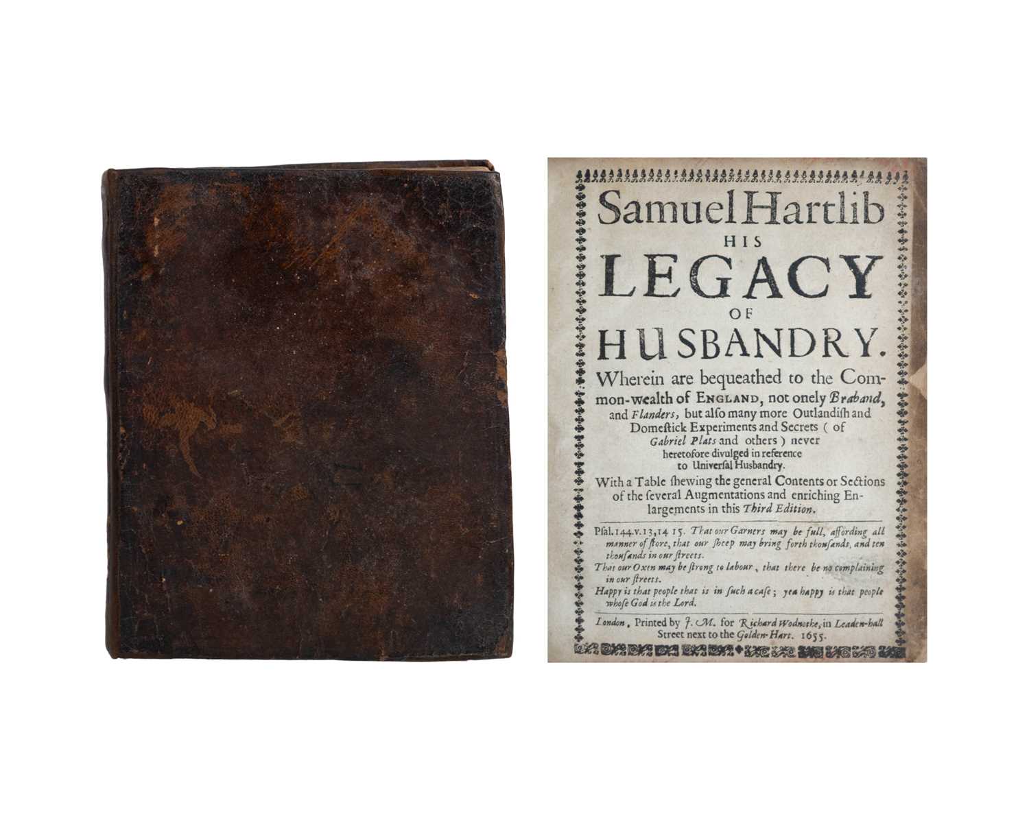 Lot 37 - Samuel Hartlib