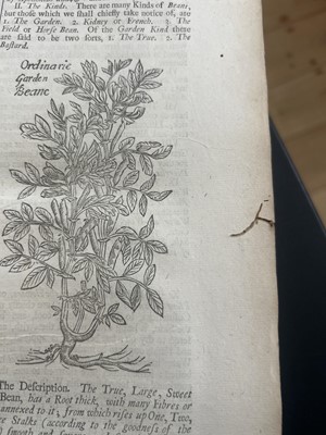 Lot 68 - (Herbal) William Salmon